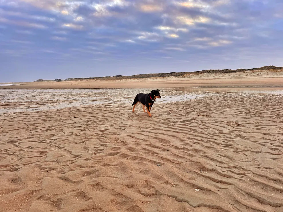 Walking on Vlieland