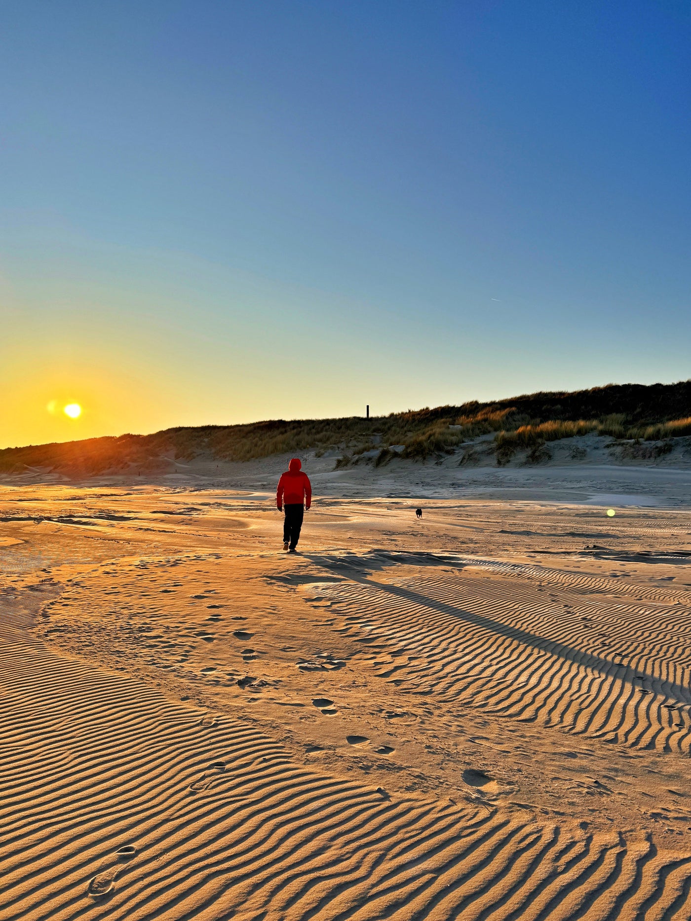 Een ijskoude ochtendwandeling 🌞🥶