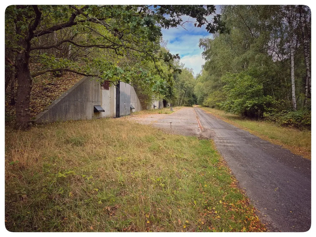 Begroeid landschap bij de bunkers