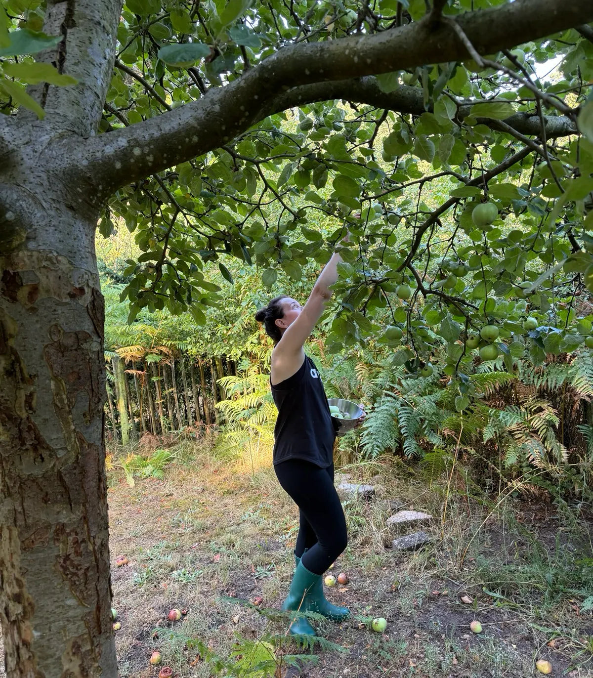 Martine plukt appels uit haar eigen appelboom.