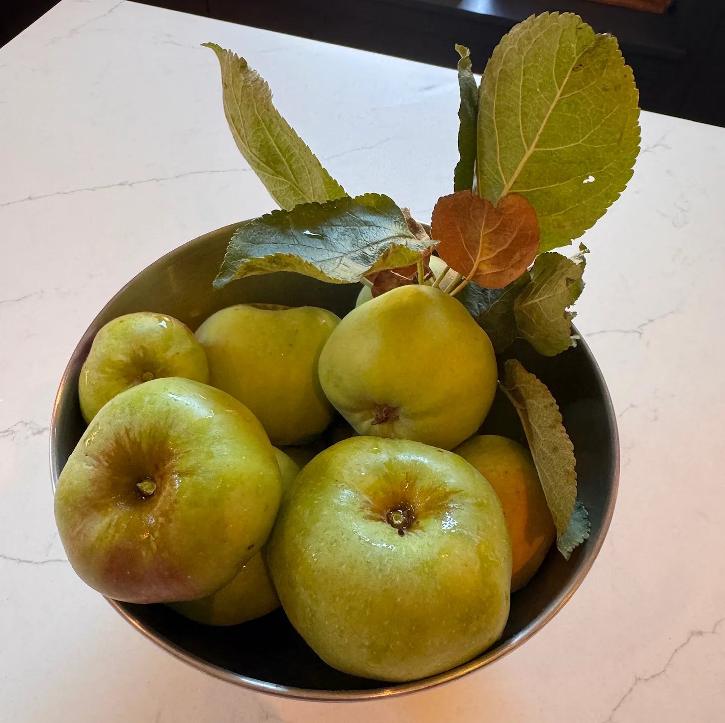 Schaal met appels uit de tuin.