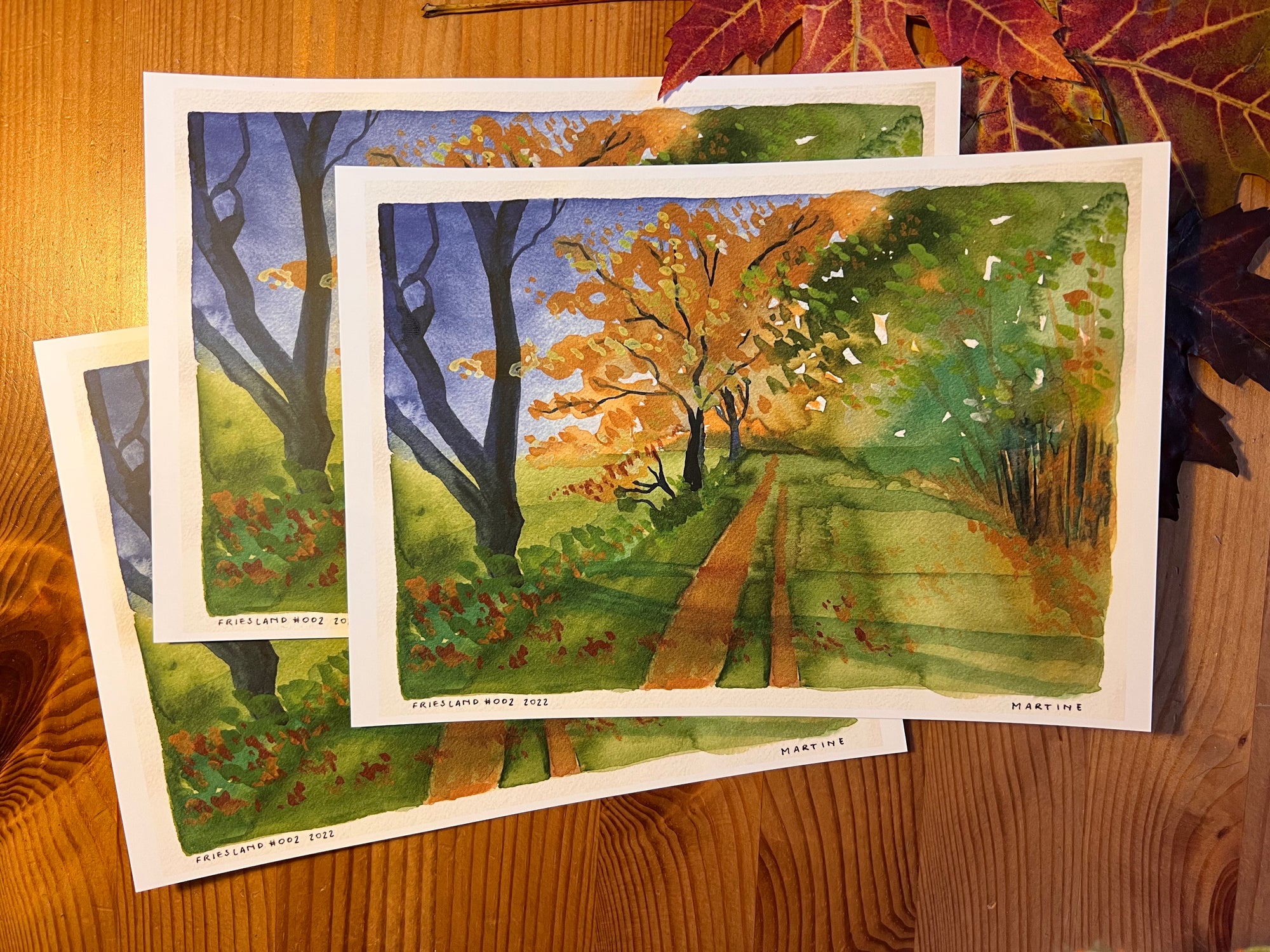 Friesland #002 - A5 print